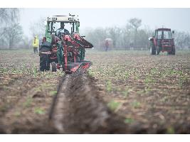 La Conferencia Sectorial de Agricultura acuerda la distribución territorial de más de 123,7 millones de euros para programas de desarrollo rural y agroalimentarios.