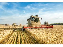 La cosecha de cereales se normaliza en el campo andaluz gracias a las lluvias, que han beneficiado al cultivo durante toda la campaña