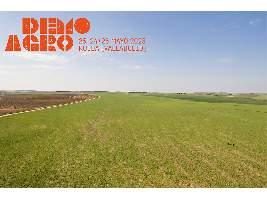 LA DIRECCIÓN GENERAL DE AGRICULTURA Y DESARROLLO RURAL DE LA COMISIÓN EUROPEA (DG AGRI) ESTARÁ PRESENTE EN DEMOAGRO 2023