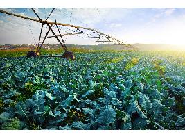 La directora general de Desarrollo Rural, Innovación y Formación Agroalimentaria inaugura la IV edición del Nuevo Regadío Forum
