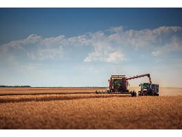 La FAO incrementa su pronóstico sobre la producción mundial de cereales para el 2022