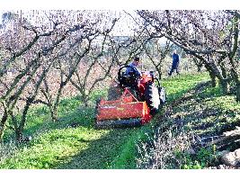 La gestión forestal y el apoyo a los agricultores y ganaderos, los mejores cortafuegos