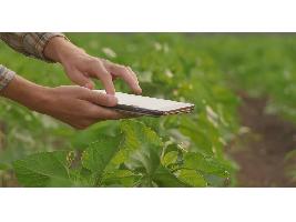 La modernización de la agricultura, imprescindible para garantizar la supervivencia del sector