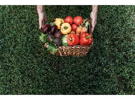 La superficie agraria ecológica se incrementó un 8 % y superó los 2,6 millones de hectáreas en 2021