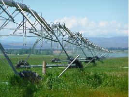 La superficie de riego eficiente en España se sitúa en 2.943.088 hectáreas, un 77 % de la superficie total de riego