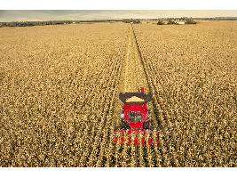 La tecnología automatizada aumenta el rendimiento de la Axial-Flow® en una difícil cosecha europea 