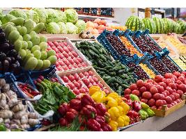 La UE aumenta su peso como principal destino de la exportación hortofrutícola en el primer trimestre del 2023