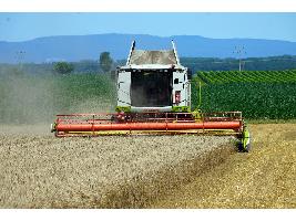 La UE da los primeros pasos para la constitución de reservas europeas de cereales, arroz y oleaginosas