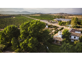 La Unión Europea registra la nueva Denominación de Origen Protegida de vino de pago Río Negro