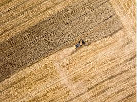 Las claves del SIEX, el nuevo sistema de registros de explotaciones agrarias