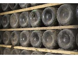 Las exportaciones de vinos de Jerez crecen un 25% respecto a 2019 por valor de 15,1 millones, un 29,1%o más
