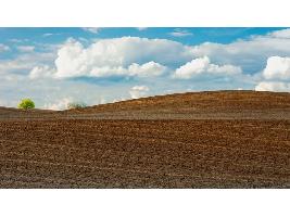 Las matriculaciones de tractores agrícolas crecieron un 2,2% en octubre