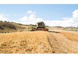 Los agricultores españoles cumplen con el medio ambiente