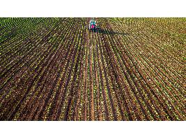 Los agricultores y ganaderos recibieron 4.310 millones de las ayudas directas de la PAC hasta el pasado 30 de abril