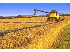 Los agricultores y ganaderos que suscriban el seguro agrario se beneficiarán del incremento de la subvención estatal de la prima
