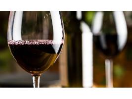 Los Mejores Vinos y Espirituosos de España 2023: Finalistas