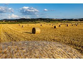 Los mercados agrícolas de la UE dan señales de estabilización pese a la incertidumbre