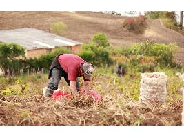 Los pequeños agricultores europeos piden que se les tenga en cuenta para lograr una PAC más justa con vistas a la última negociación