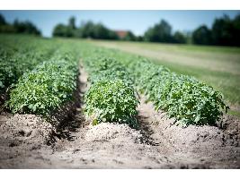 Luis Planas: Agricultores y ganaderos precisan de un acuerdo equilibrado