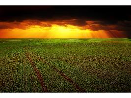Luis Planas analiza con Cooperativas Agro-alimentarias de España los puntos clave de la futura PAC