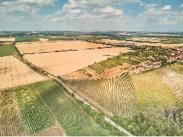 Luis Planas: Las ayudas del Gobierno son un instrumento eficaz para asegurar la rentabilidad de las explotaciones agrarias