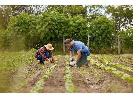 Luis Planas: “Por una agricultura con agricultores”
