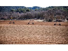 Luis Planas señala la modernización de regadíos como una de las grandes apuestas del Gobierno para la rentabilidad agraria