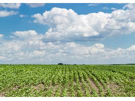 Más de 1.200 agricultores y ganaderos se beneficiarán del Plan Renove 2024 para la renovación de maquinaria agrícola