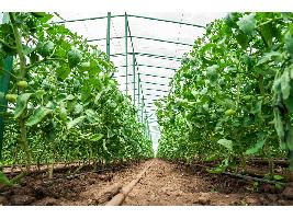 Más de 139.000 agricultores recibirán una ayuda extraordinaria del Estado por un importe total de casi 269 millones de euros