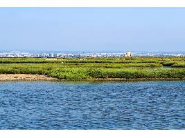 Más de 16 millones en ayudas para mejoras agrícolas en aras a recuperar el Mar Menor