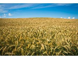 Más de 3.000 agricultores participarán en el cuarto programa de asesoramiento para explotaciones agrarias del Gobierno de Aragón, dotado con 1.16M€.