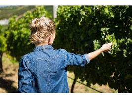Mujeres y vino: una historia de pasión y transformación