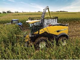 Nueva tecnología de prevención de atascos del cultivo, respuesta del volante personalizable y mucho más para las picadoras de forraje autopropulsadas FR Forage Cruiser