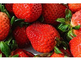 Onubafruit, primera asociación de organizaciones de productores hortofrutícolas de Huelva