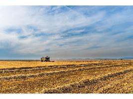 Pagos de la PAC: Agricultores y ganaderos españoles ya han recibido 4.891 millones de euros del Feaga hasta abril