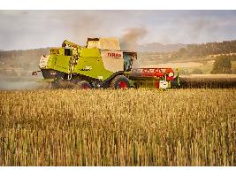 Pagos PAC: Agricultores y ganaderos españoles ya han recibido 4.402 millones del Feaga hasta el 28 de febrero.