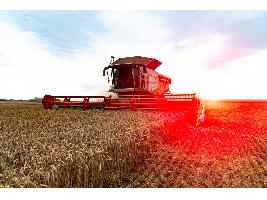 Para Accoe, se producirá 17,9 millones de toneladas de cereales de invierno, más de dos millones de toneladas menos que la prevista por ASAJA