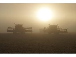 Periodo transitorio PAC: «Aceleramos la convergencia entre agricultores porque lo pide Europa, pero se hará de forma gradual».