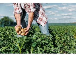 Plan de Desarrollo de la agricultura ecológica europea: Defienden que debe estar ligado al enfoque de mercado