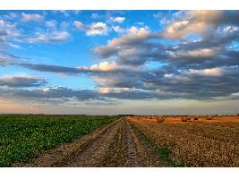 Planas ante la PAC: «Centrará las ayudas en el agricultor profesional de clase media sin olvidar al pequeño no profesional»