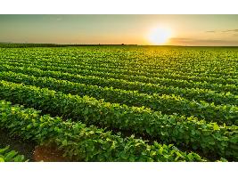 Planas dice que la transposición de directiva europea hará que cadena alimentaria sea "más equilibrada"