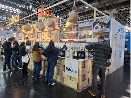 PROFESIONALES DE ALEMANIA, PAÍSES BAJOS O BÉLGICA SE INTERESAN POR LOS VINOS DE LA D.O. RIBEIRO EN PROWEIN 2025
