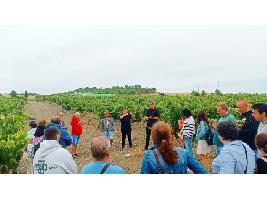 Promoción de la viticultura inclusiva en Valladolid