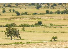 Propuesta a la CE para movilizar la reserva de crisis y recursos del Feader para ayudar a agricultores y pymes afectados por la sequía