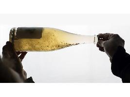 ¿Qué son los vinos “ancestrales” o “Pet-Nat”?