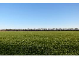 Reflexiones sobre comercio y sostenibilidad en el sector agroalimentario europeo