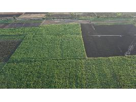 Relevo generacional y agua: los retos estructurales destacados en el Día de la Agricultura