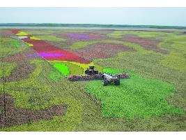 Rosa Gallardo: "La transformación digital del sector agrario es una cuestión de supervivencia"