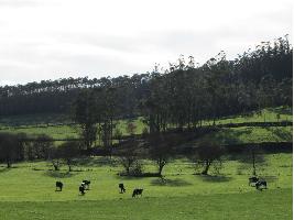 SEO/BirdLife y WWF instan al Ministerio de Agricultura y CCAA a aprovechar una oportunidad histórica para alcanzar una PAC verde