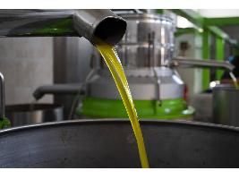 Sigue la tendencia al alza de los precios del aceite de oliva